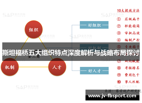 斯坦福桥五大组织特点深度解析与战略布局探讨