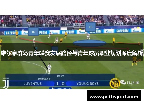 维尔京群岛青年联赛发展路径与青年球员职业规划深度解析 维尔京群岛青年联赛发展路径与青年球员职业规划深度解析