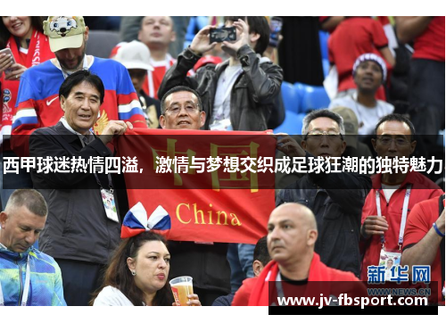 西甲球迷热情四溢，激情与梦想交织成足球狂潮的独特魅力