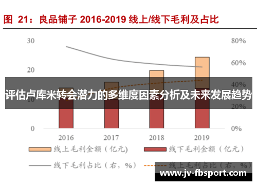 评估卢库米转会潜力的多维度因素分析及未来发展趋势