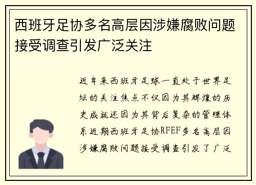 西班牙足协多名高层因涉嫌腐败问题接受调查引发广泛关注 西班牙足协多名高层因涉嫌腐败问题接受调查引发广泛关注