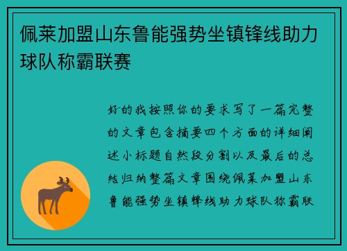 佩莱加盟山东鲁能强势坐镇锋线助力球队称霸联赛